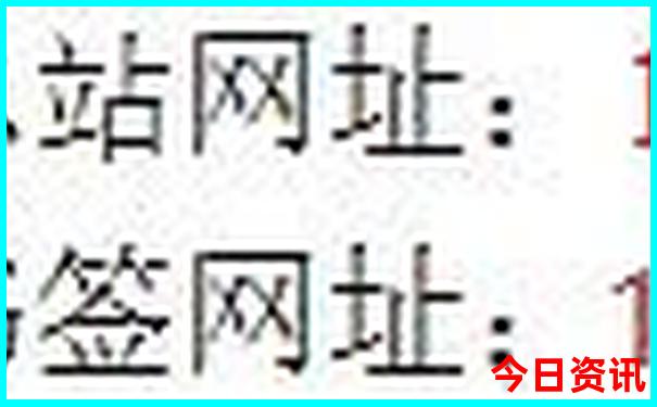 正版2025年全网天天下载彩内幕资料分析查询-新澳门2025年开奖记录